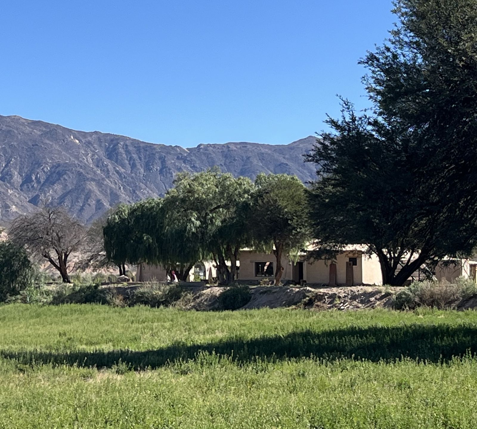 The farmhouse at Gualfín among trees, mountains behind